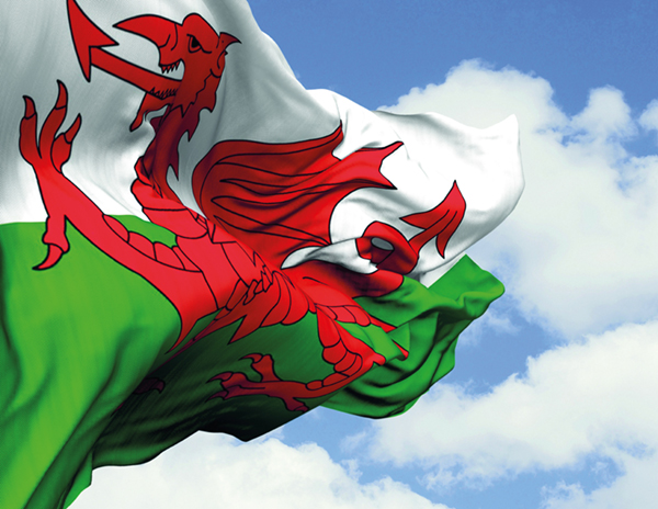 Wales red dragon flag