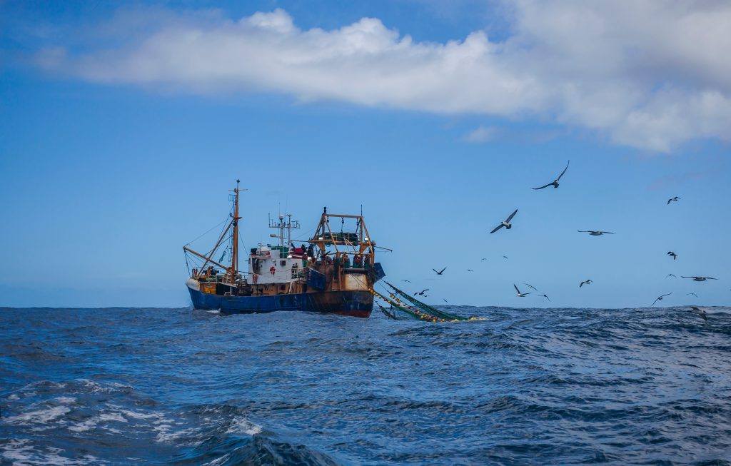 Photo of a fishing trawler ship at sea