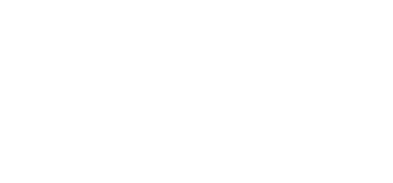 icon logo white