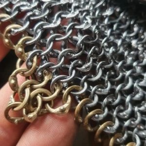 rings, showing details of wedge shaped overlap